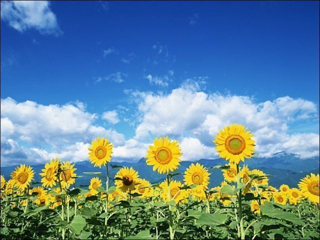 http://www.amic.ru/images/gallery_07-2012/640.a18b92001ede.jpg